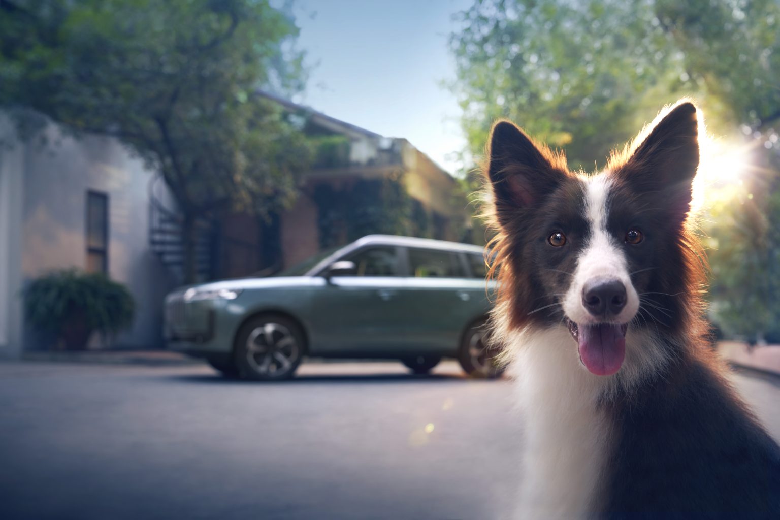 Left-Front-85o-Pet-in-the-Front-左前85度狗前景-1536x1024